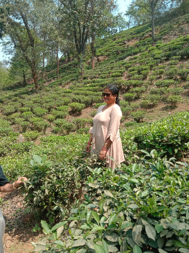 Assam-Meghalaya Image 3